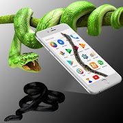 Snake on Screen 截圖 2