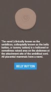 Belly Button پوسٹر