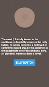 Poster Belly Button