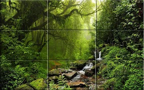 puzzle - forests 截图 2