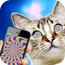 Hypnotizer For Cats Simulator APK