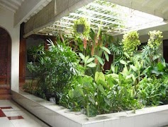 Design Home Garden screenshot 2
