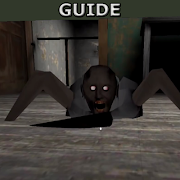 Guide Granny poster