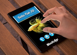 Betta Fish 3D Ekran Görüntüsü 4