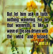 5 Schermata Daily Verse