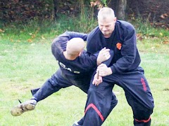 Entrenamientos de Combate captura de pantalla 2