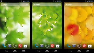 Misted Screen HD पोस्टर