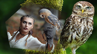 Owls Frames For Photos screenshot 7