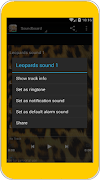 Leopardの音 ポスター