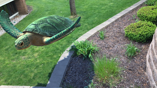 برنامه‌نما WikiTurtle عکس از صفحه