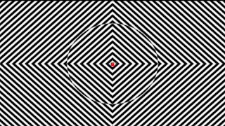 Optical Illusions penulis hantaran