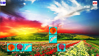 Flower Connect Onet New imagem de tela 4