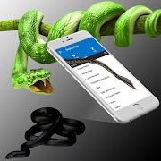 Snake on Screen स्क्रीनशॉट 4