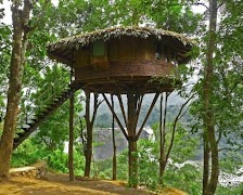 Tree House Design 스크린샷 1