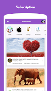 ClipFlip Theme Screenshot 2