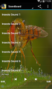 Insekten Sounds Plakat