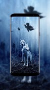 3 Schermata Animal Wallpaper HD