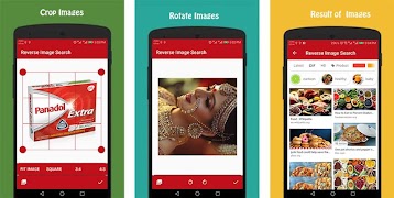 Reverse Image Search ảnh chụp màn hình 7