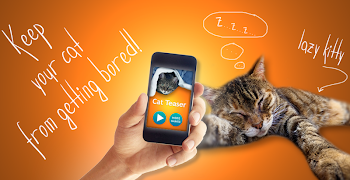 Kitten Teaser Simulator poster