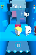 slip N flip poster