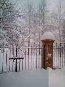 Beta Gallery bài đăng