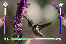 HD MX Player تصوير الشاشة 1