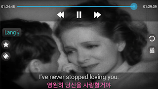 Langs Player capture d'écran 3