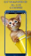 Cat Wallpaper HD screenshot 1