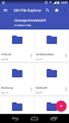 DM File Explorer screenshot 2