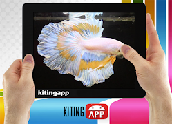 Бетта-рыба 3D скриншот 3