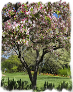 Spring Trees Puzzle Ekran Görüntüsü 2