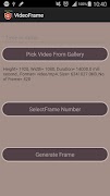 Video Frame poster
