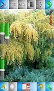 برنامه‌نما Cool Camera Free عکس از صفحه