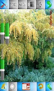 برنامه‌نما Cool Camera Free عکس از صفحه