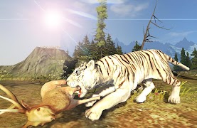 Poster Angry Tiger Attack