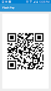 Flash Pay imagem de tela 4