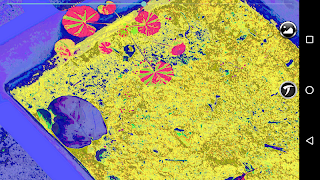 Predator vision screenshot 5