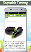 Vegetable Farming 스크린샷 2