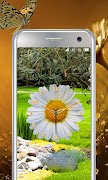 Daisy Flower Clock ポスター