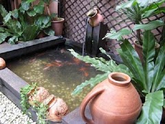 Tanque de peixes Cartaz