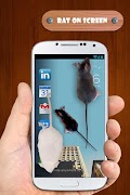 Mouse on Screen Prank ภาพหน้าจอ 6