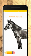 How to Draw Horses - Easy Drawing Step by Step screenshot 6