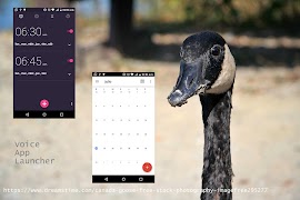 Voice Commands App Screenshot 5