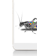FancyBugz capture d'écran 2