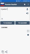 Bashkir Russian Translator Poster