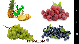 Fruits and Vegetables ภาพหน้าจอ 3