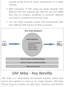 Learn SAP Ariba 截图 1