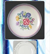 Plate Design capture d'écran 3