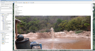 Nerus imagem de tela 7