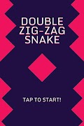 Double Zig-Zag Snake plakat